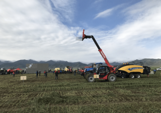 Telehandlere Manitou MLT-X 732