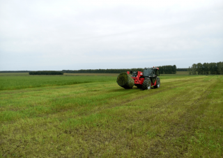Telehandlere Manitou MLT-X 735 T LSU