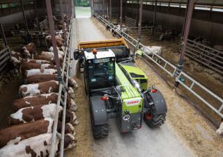 Telehandlere Claas Scorpion 635 