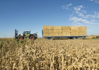 Telehandlere Claas Scorpion 7030