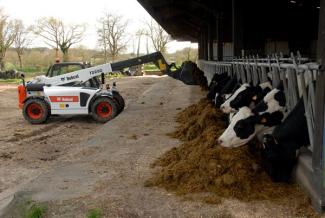 Telehandlere Bobcat T 2250