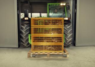 Telehandlere Merlo TF 30.9 L G