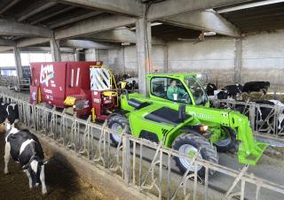 Telehandlere Merlo TF 38.7 TT-120