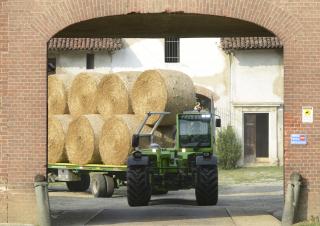 Telehandlere Merlo TF 50.8 T-120