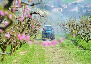 Tractoare 4WD Arbos 4110 Q
