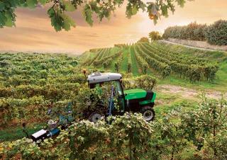 Tractoare 4WD DEUTZ-FAHR Agroplus F 320