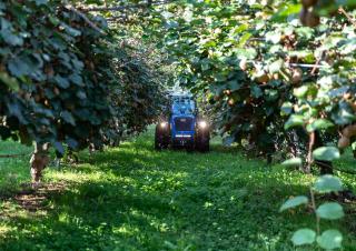 Tractoare 4WD BCS Eagle 85 SDT