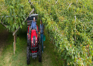 Tractoare 4WD Valtra F75S