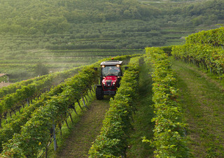 Tractoare 4WD Valtra F75S