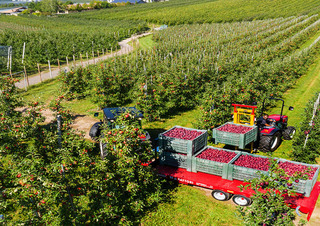 Tractoare 4WD Valtra F75S