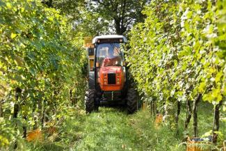 Tractoare 4WD SAME Frutteto³ S 90.3 DT