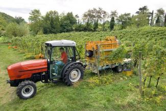 Tractoare 4WD SAME Frutteto³ S 90.3 DT