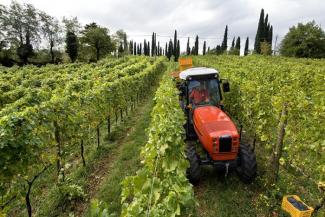 Tractoare 4WD SAME Frutteto³ S 90.3 DT