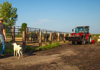 Tractoare 4WD Massey Ferguson MF 1740 M