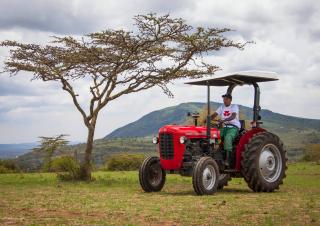 Tractoare 4WD Massey Ferguson MF 35