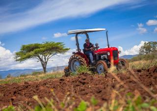 Tractoare 4WD Massey Ferguson MF 35