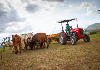 Tractoare 4WD Massey Ferguson MF 35
