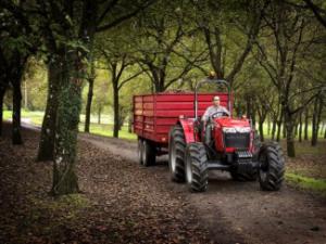 Tractoare 4WD Massey Ferguson MF 3645 A