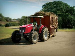 Tractoare 4WD Massey Ferguson MF 5455-4 Edition