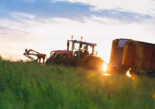 Tractoare 4WD Massey Ferguson MF 8S.305 