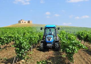 Tractoare 4WD Landini Rex 120F