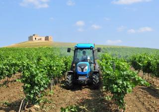 Tractoare 4WD Landini Rex DT 4-080F