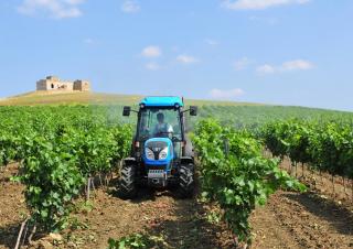 Tractoare 4WD Landini Rex DT 4-080V