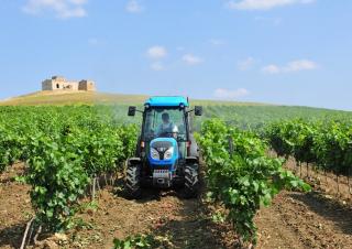 Tractoare 4WD Landini Rex DT 4-110F
