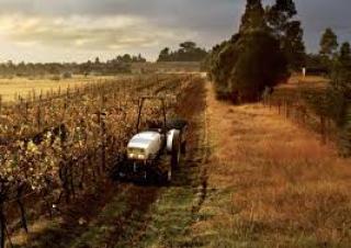 Tractoare 4WD Lamborghini RV.80 DT Inversore Meccanico