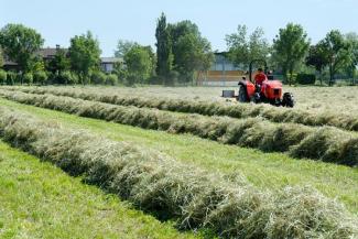 Tractoare 4WD SAME Tiger 75