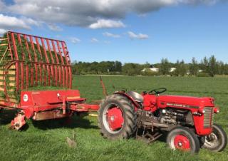 Tractoare cu roți mari pe spate Massey Ferguson 30