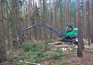 Echipamente forestiere Utilaje de recoltat bușteni Neuson Forest 103HV