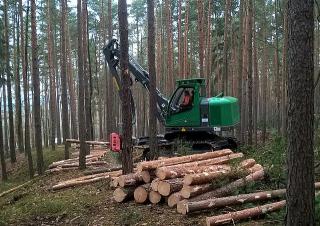 Echipamente forestiere Utilaje de recoltat bușteni Neuson Forest 103HV