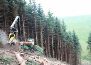 Echipamente forestiere Utilaje de recoltat bușteni John Deere 1270 E IT4
