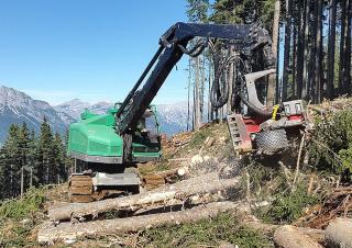 Echipamente forestiere Utilaje de recoltat bușteni Neuson Forest 243HV