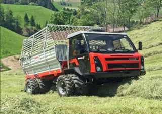 Vehicule Vehicule municipale multifuncționale diesel Reform Werke Muli T 8 S