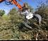 Atașamente Apucătoare de demolare Pladdet PRG4-800
