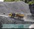 Autobasculante articulate Volvo A50