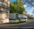 Autobuze Autobuze interurbane Setra S 416 LE business