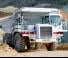 Basculante rigide Perlini DP 405 WD
