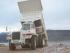Basculante rigide Perlini DP 705 WD