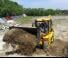Buldoexcavatoare Palazzani PB 50