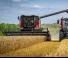Combine agricole Massey Ferguson Activa 7344-MCS