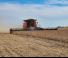 Case IH AF9 