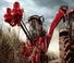Combine agricole Case IH Astoft 9900 DA