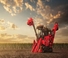Combine agricole Case IH Austoft 9900