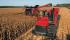 Case IH Axial Flow 7130