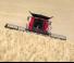 Combine agricole Case IH Axial Flow 7250