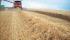 Combine agricole Case IH Axial Flow 8120