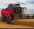 Combine agricole Massey Ferguson Beta 7370 PLI